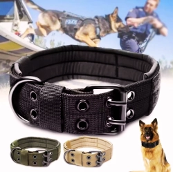 קולר טקטי לכלב 