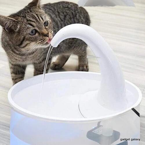 מזרקת שתייה לחתולים
