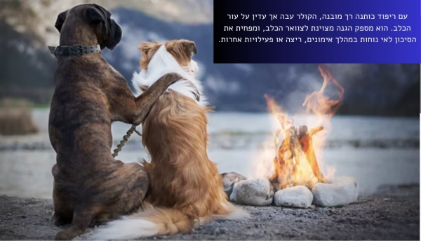 קולר טקטי לכלב 