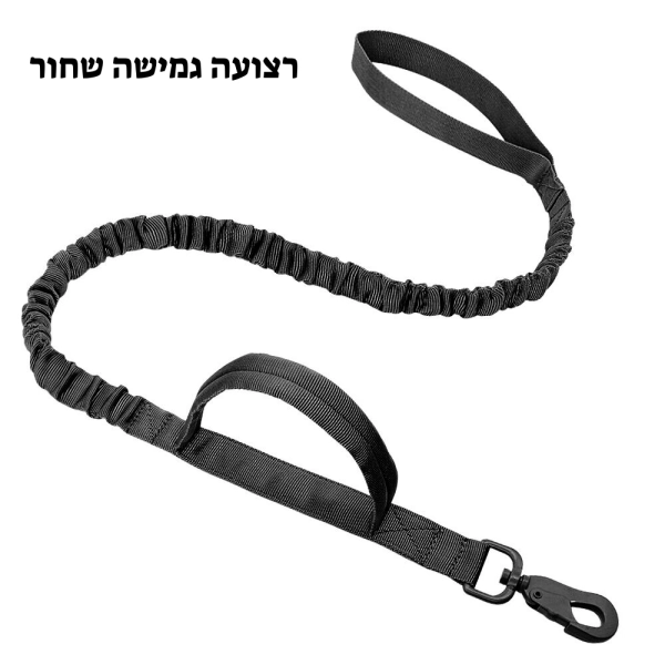 קולר לכלבים