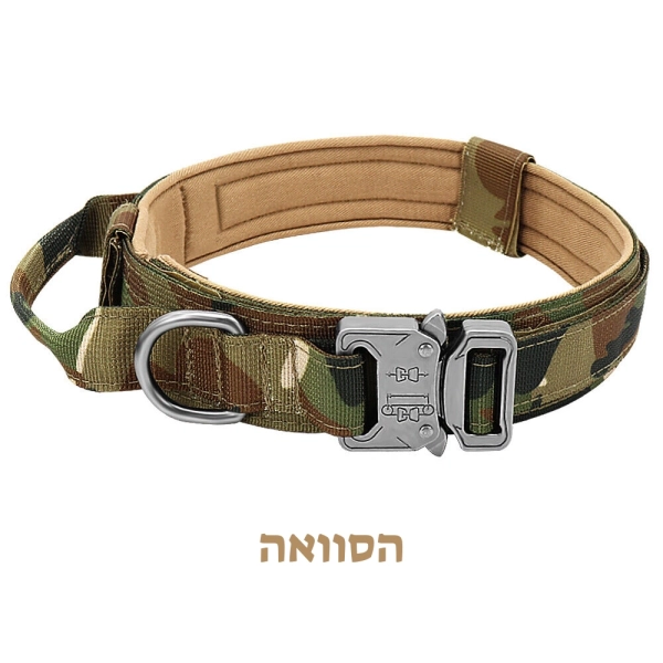קולר לכלבים