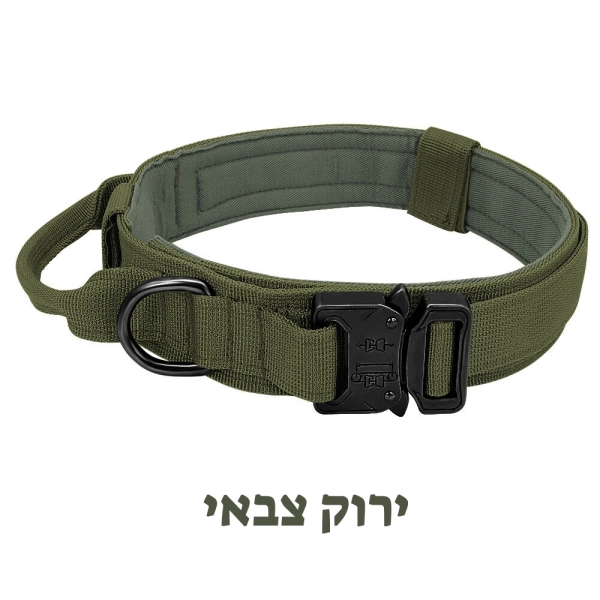 קולר לכלבים