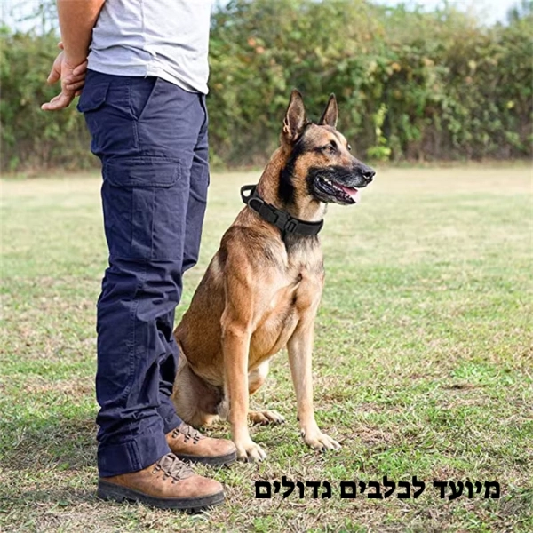 קולר לכלבים