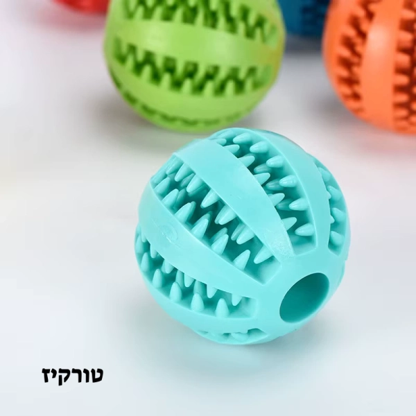 כדור לכלבים