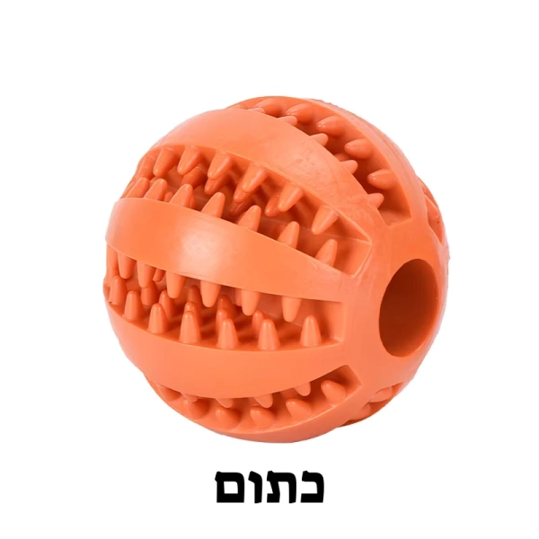 כדור לכלבים