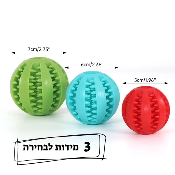 כדור לכלבים