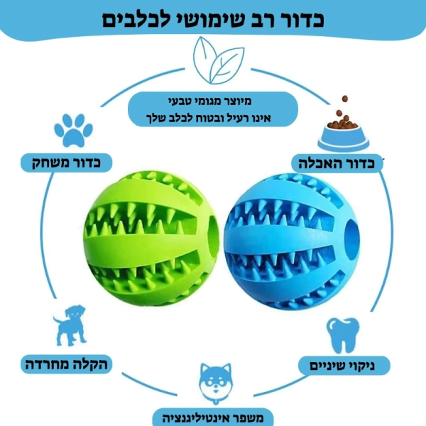 כדור לכלבים