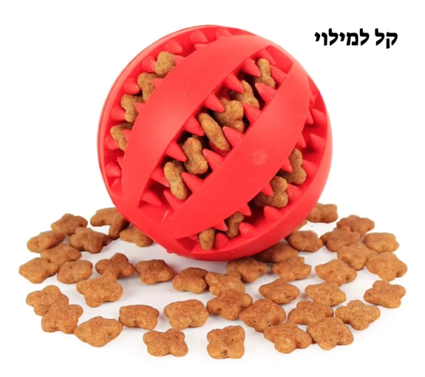 כדור לכלבים