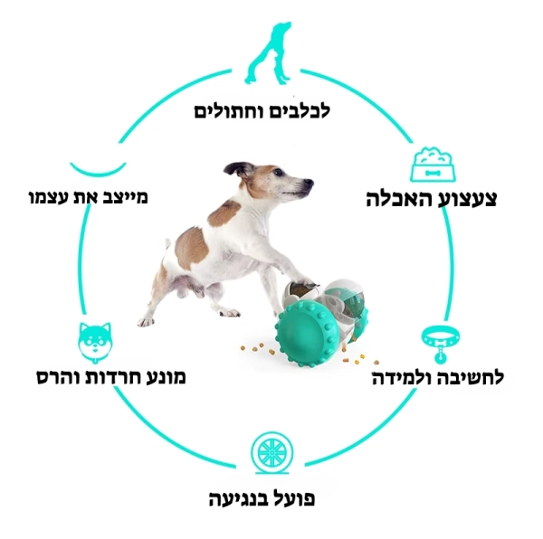 צעצוע האכלה לכלבים