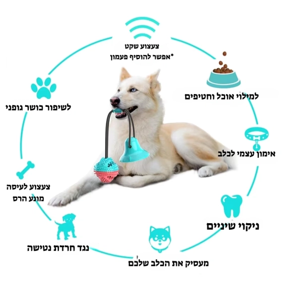 צעצוע נשיכה לכלבים