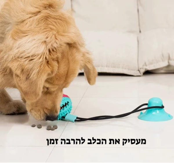 צעצוע נשיכה לכלבים