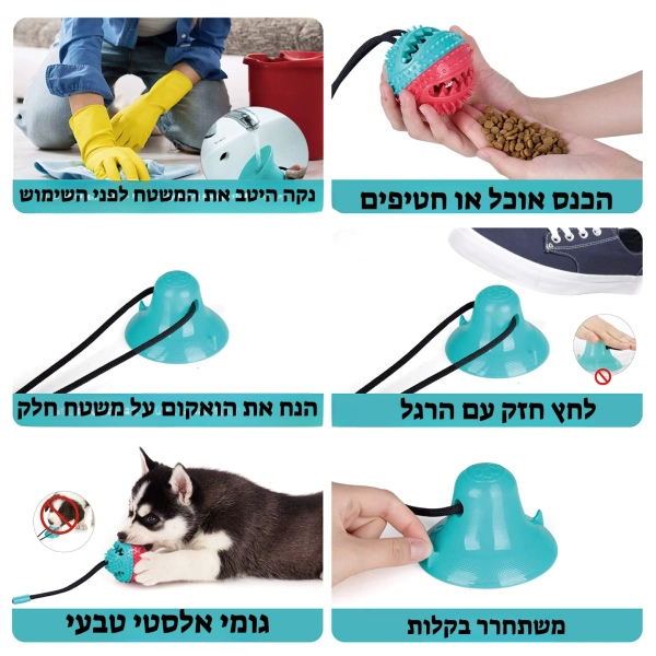 צעצוע נשיכה לכלבים