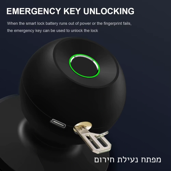 ידית דלת חכמה אלקטרונית דיגיטלית ביומטרית
