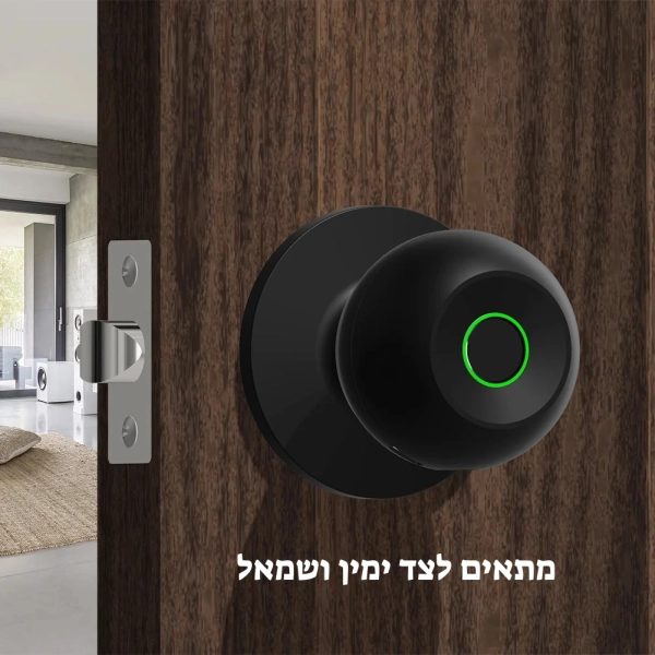ידית דלת חכמה אלקטרונית דיגיטלית ביומטרית